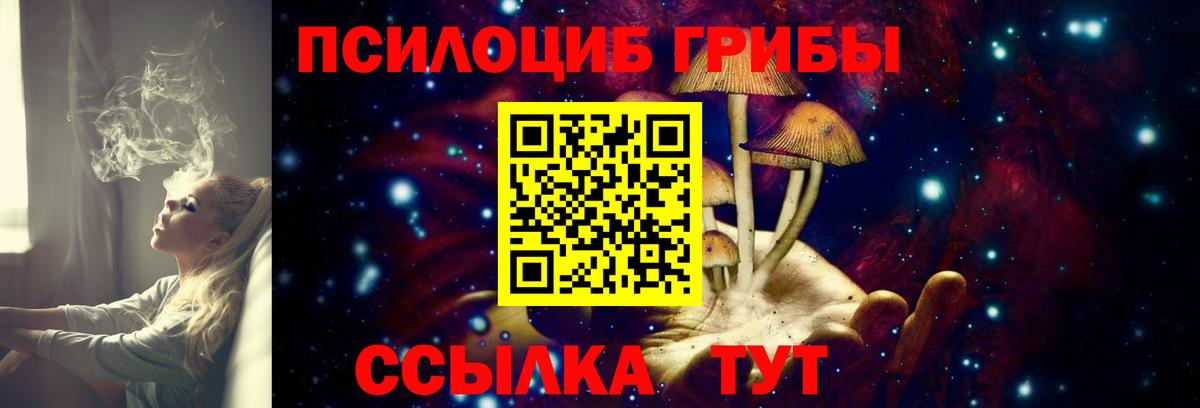 Галлюциногенные грибы Psilocybe Солнечногорск